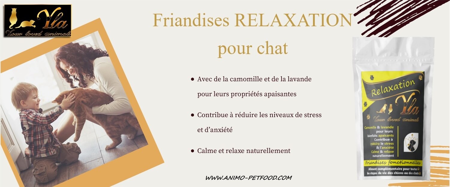 Friandises relaxation pour chat anti stress